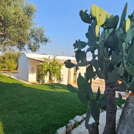 La Corte Di Gio Nyaraló *